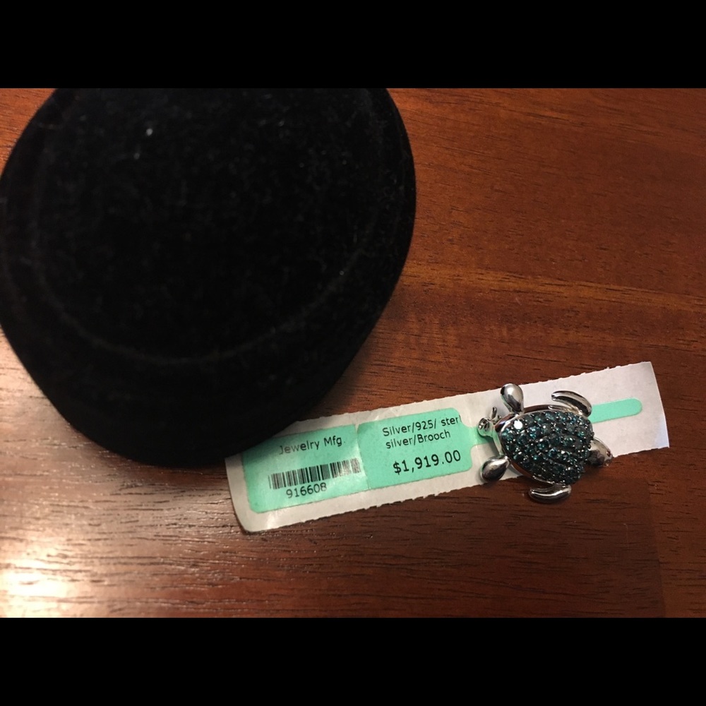 Silver and gemstone turtle pin